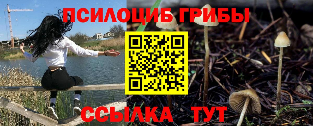 продажа наркотиков  Галлюциногенные грибы прущие грибы  Дальнереченск  Вход с VPN  Галлюциногенные грибы Magic Shrooms 