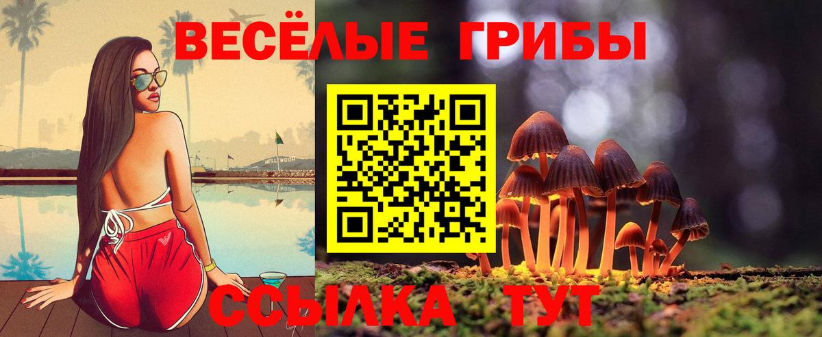 Галлюциногенные грибы ЛСД Дальнереченск